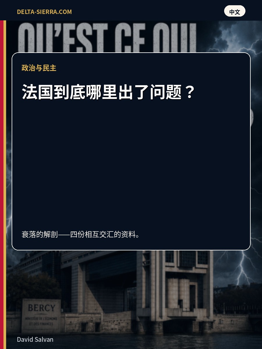 法国到底哪里出了问题？